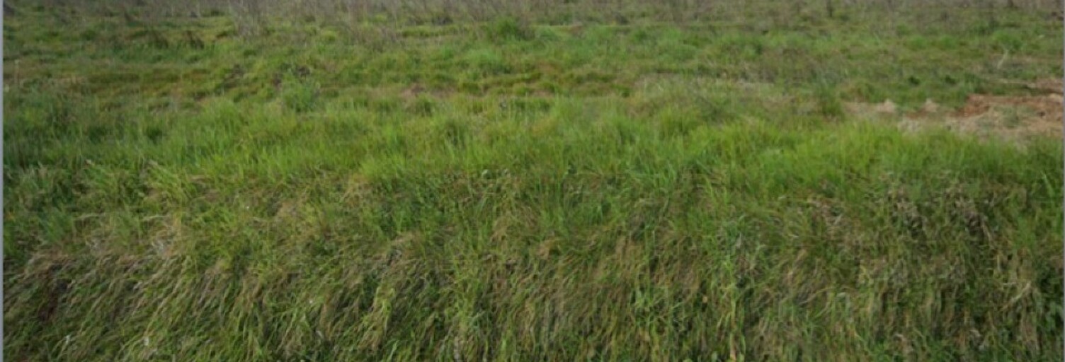 Terrain  570 m² à vendre à Madirac (33670)