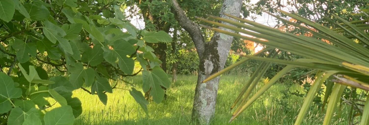 Terrain  720 m² à vendre à Port-de-Lanne (40300)