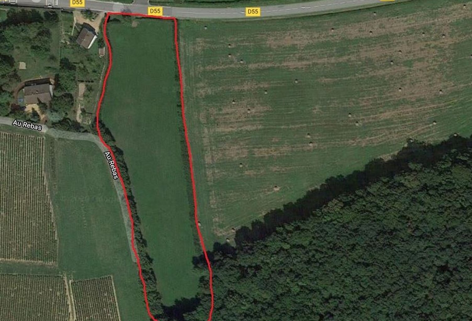 A LUGNY, PROCHE MACON EN BOURGOGNE TERRAIN DE 10 000 M² ENV A — photo 1