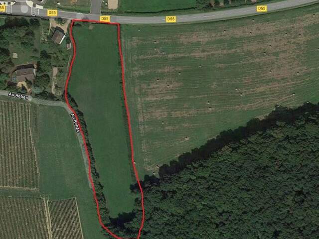 A LUGNY, PROCHE MACON EN BOURGOGNE TERRAIN DE 10 000 M² ENV A — photo du bien
