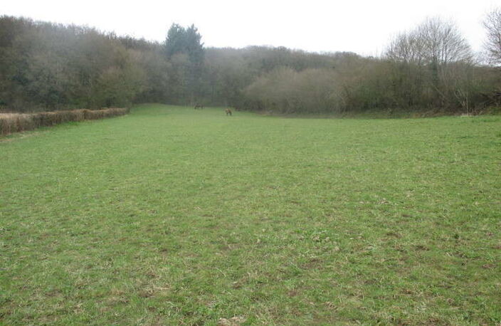 A LUGNY, PROCHE MACON EN BOURGOGNE TERRAIN DE 10 000 M² ENV A — photo 2