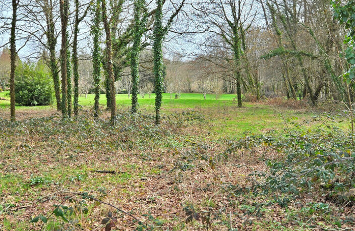 TERRAIN 1676M² - ENVIRONNEMENT CAMPAGNE ET BOISE — photo 3