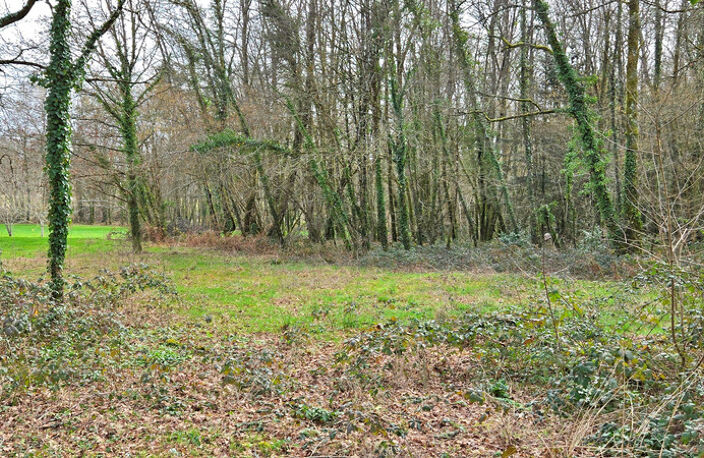 TERRAIN 1676M² - ENVIRONNEMENT CAMPAGNE ET BOISE — photo 5