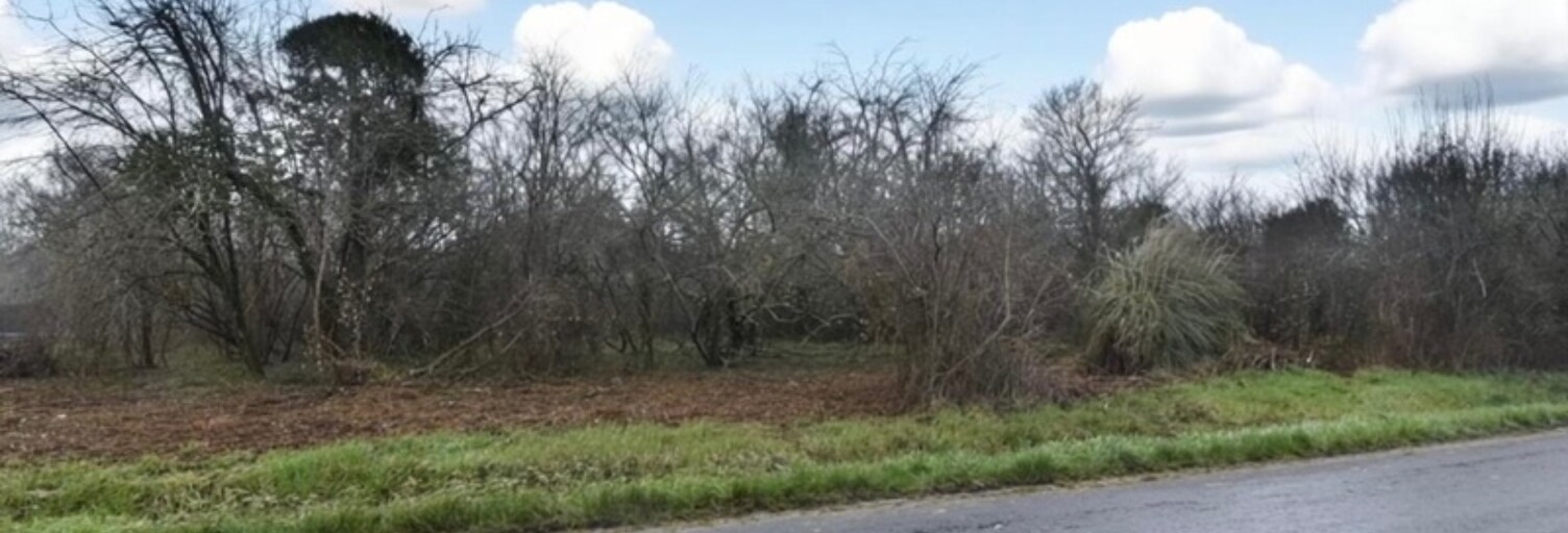 Terrain  10695 m² à vendre à Lignan-de-Bordeaux (33360)