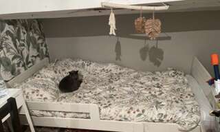 Appartement 1 Pièce 9 m² à louer à Mas-Grenier (82600)