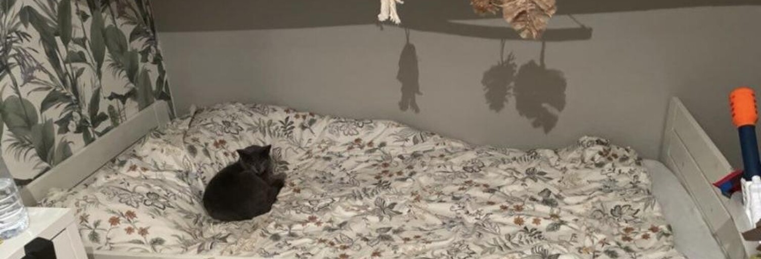 Appartement 1 Pièce 9 m² à louer à Mas-Grenier (82600)