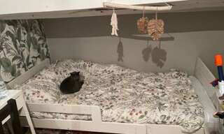 Appartement 1 Pièce 9 m² à louer à Mas-Grenier (82600)