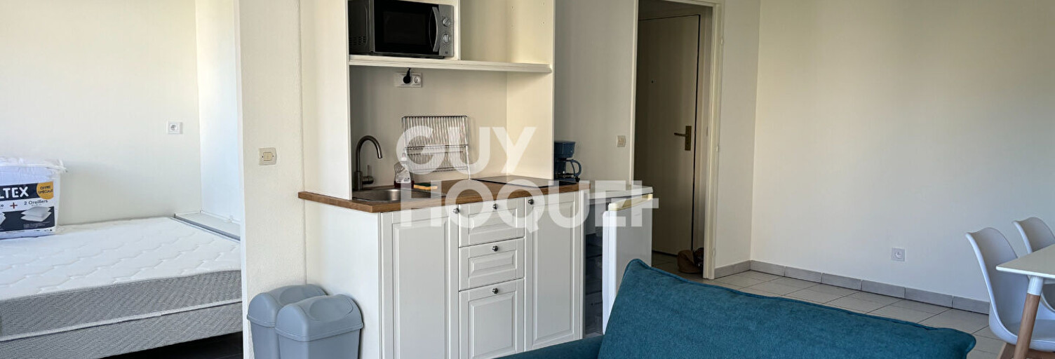 Appartement 1 Pièce 35 m² à louer à Lyon 3 (69003)