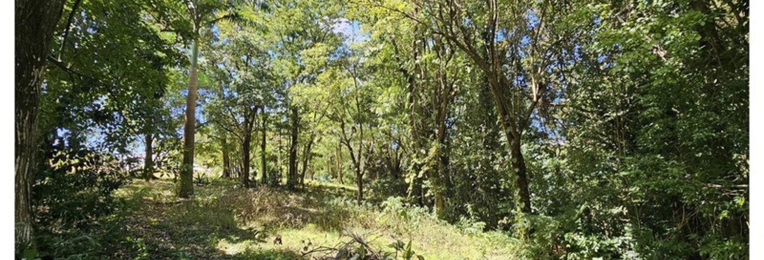 Terrain  3123 m² à vendre à Bouillante (97125)