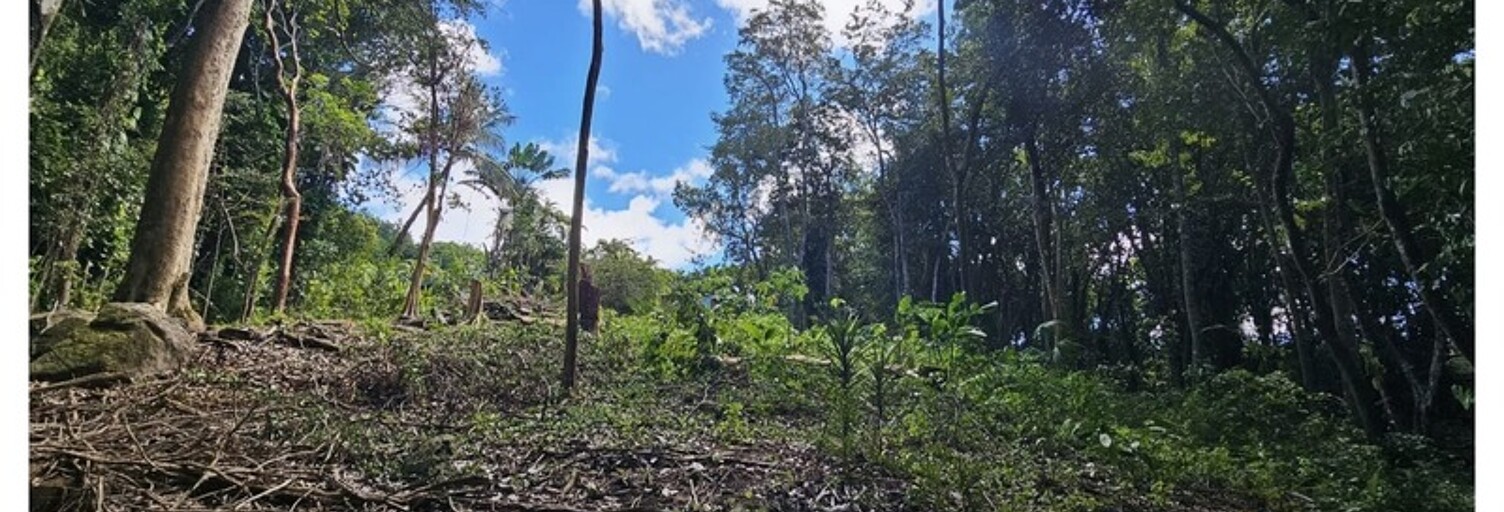 Terrain  3502 m² à vendre à Bouillante (97125)