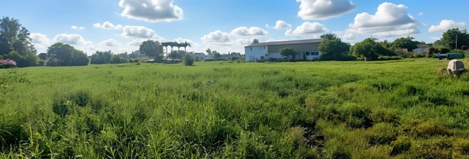 Terrain  3441 m² à vendre à Sainte-Anne (97180)