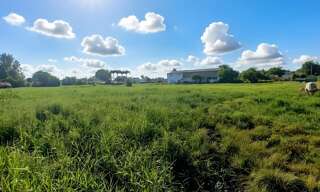 Terrain  3441 m² à vendre à Sainte-Anne (97180)