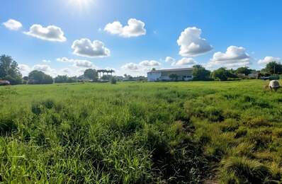 Grand Terrain plat constructible UG à vendre de 3 441,00 m² SAINTE ANNE (971) — photo du bien