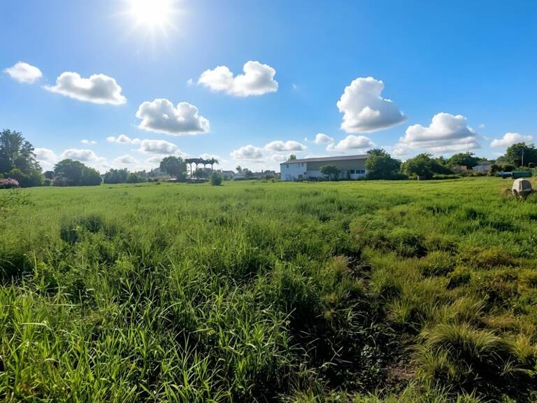 Grand Terrain plat constructible UG à vendre de 3 441,00 m² SAINTE ANNE (971) — photo 1