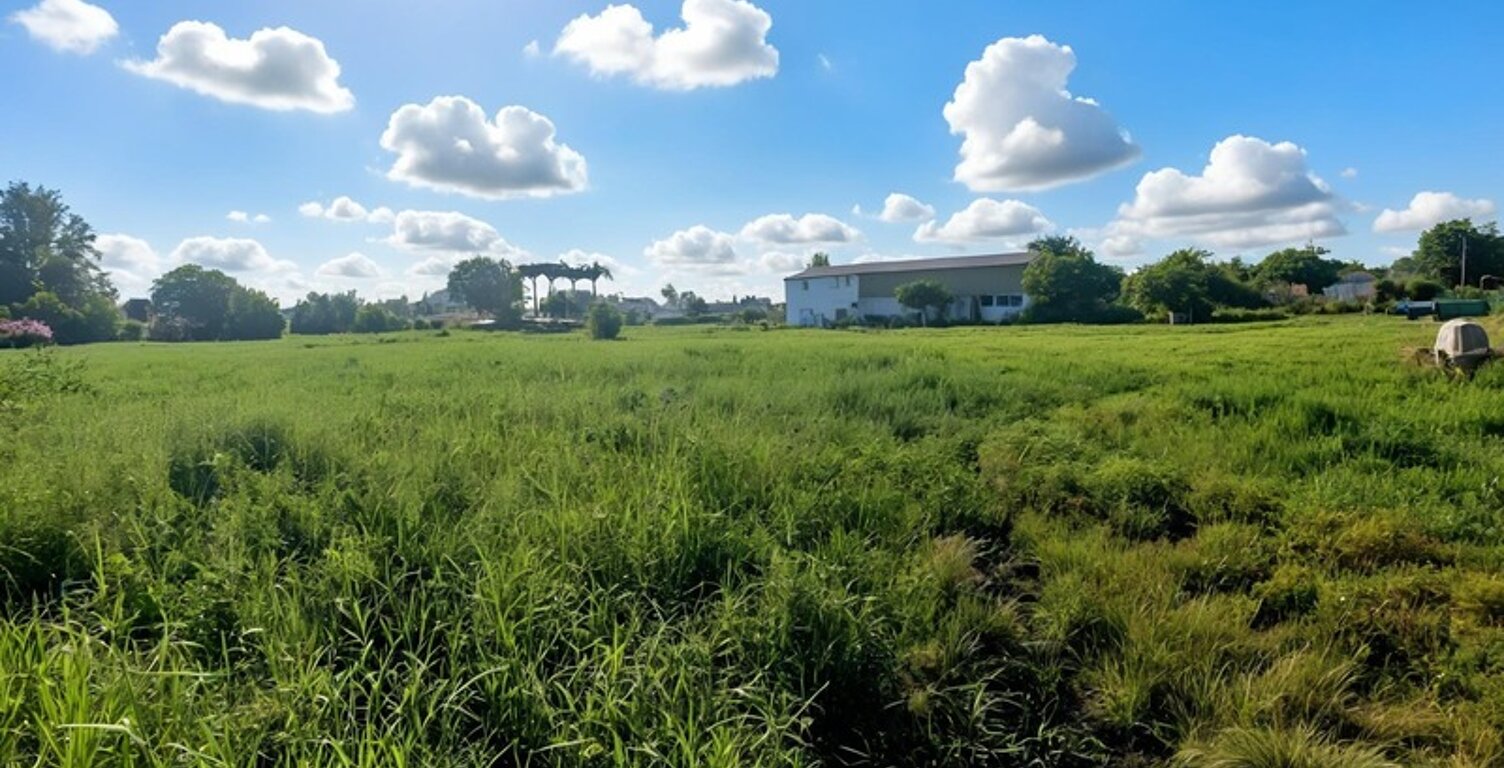 Grand Terrain plat constructible UG à vendre de 3 441,00 m² SAINTE ANNE (971) — photo 1