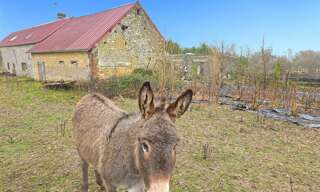 Terrain  2 m² à vendre à Sainte-Scolasse-sur-Sarthe (61170)