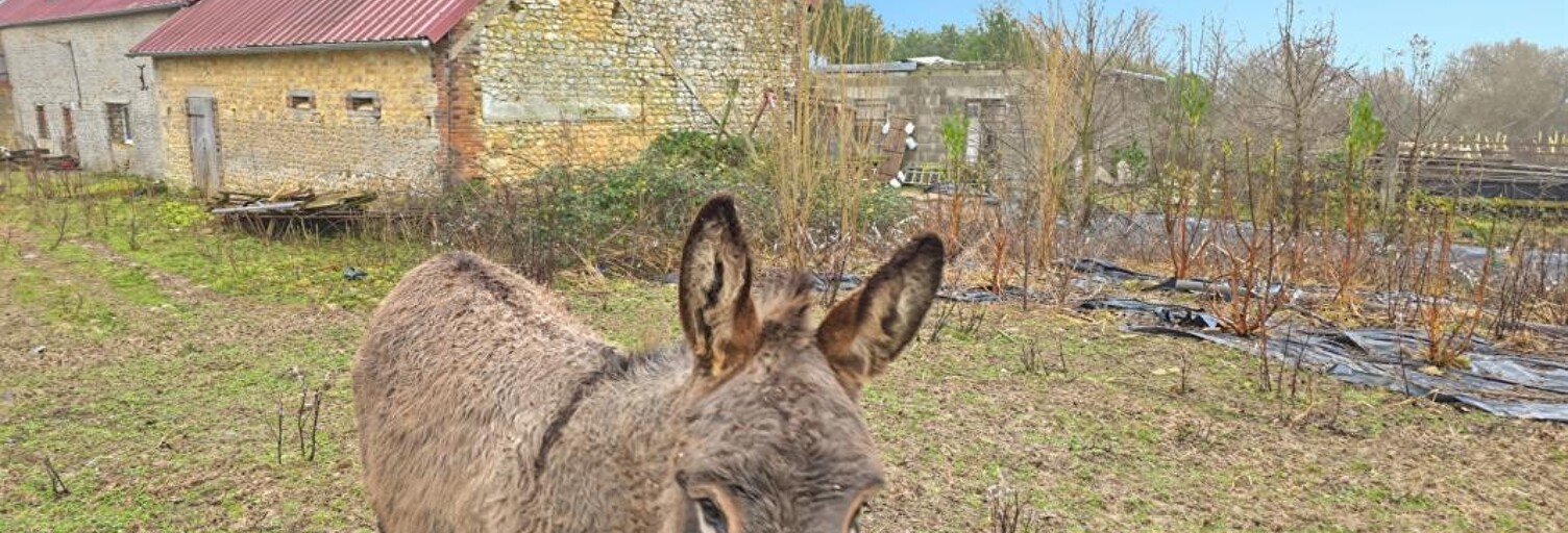 Terrain  2 m² à vendre à Sainte-Scolasse-sur-Sarthe (61170)