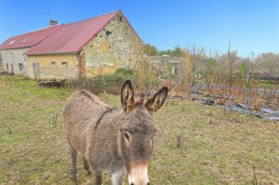 Maison 7 pièces 290000 €