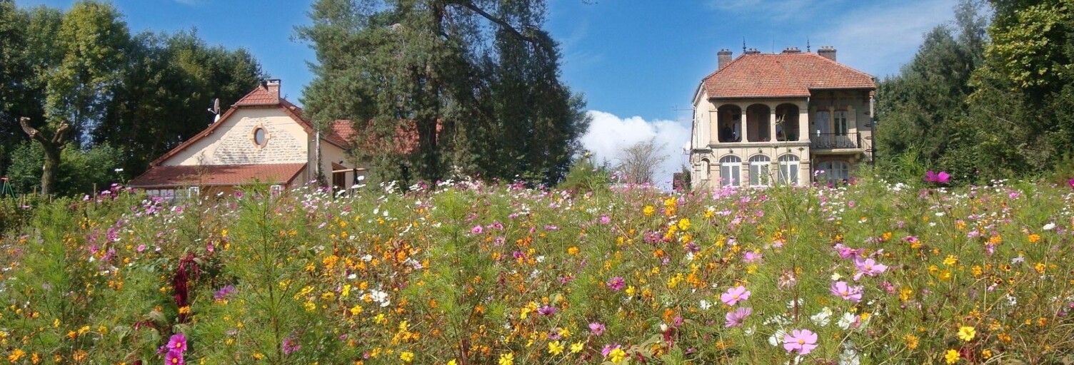 Maison 11 Pièces 274 m² à vendre à Louhans (71500)