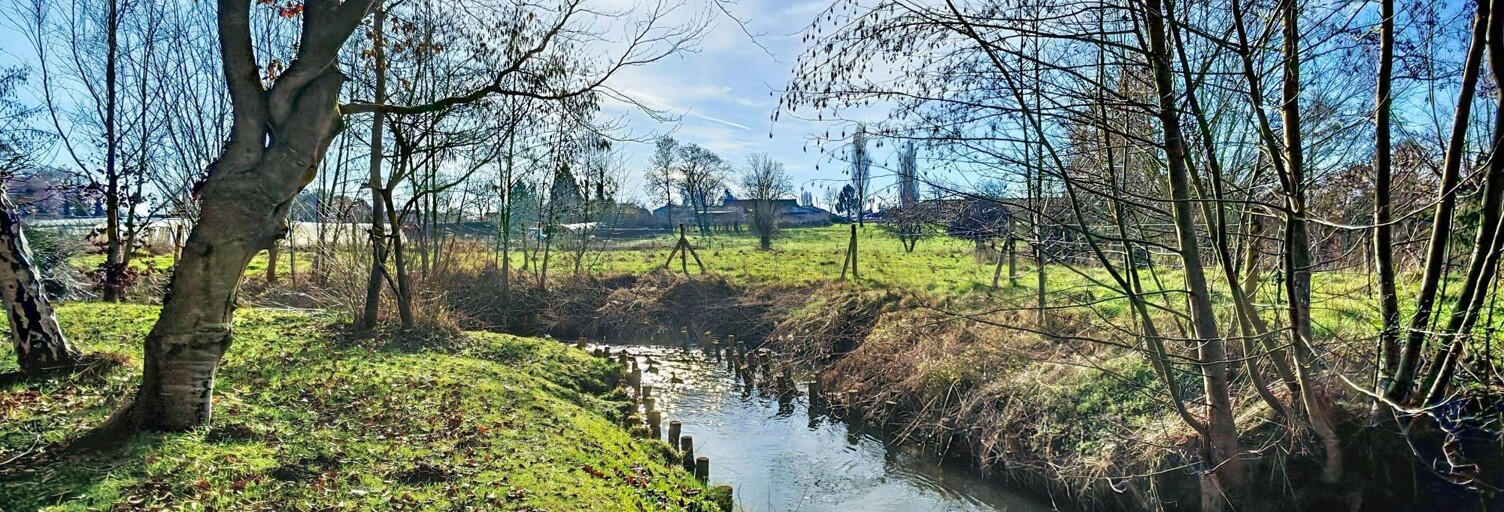 Maison 5 Pièces 170 m² à vendre à Maresches (59990)