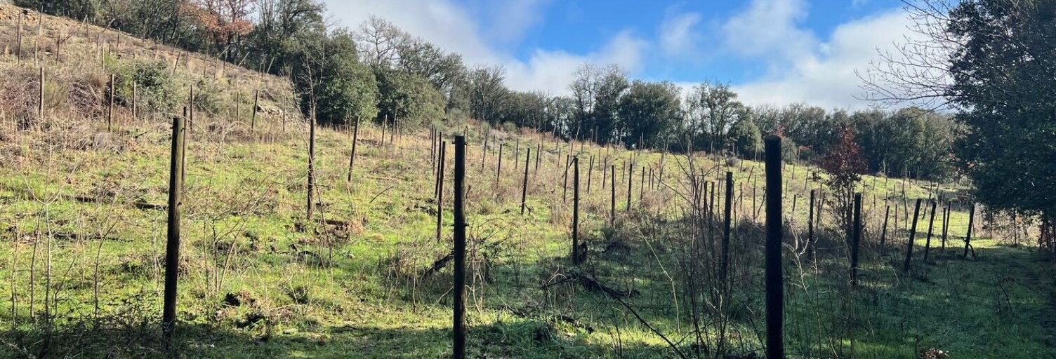 Terrain  5470 m² à vendre à Saint-Julien (34390)