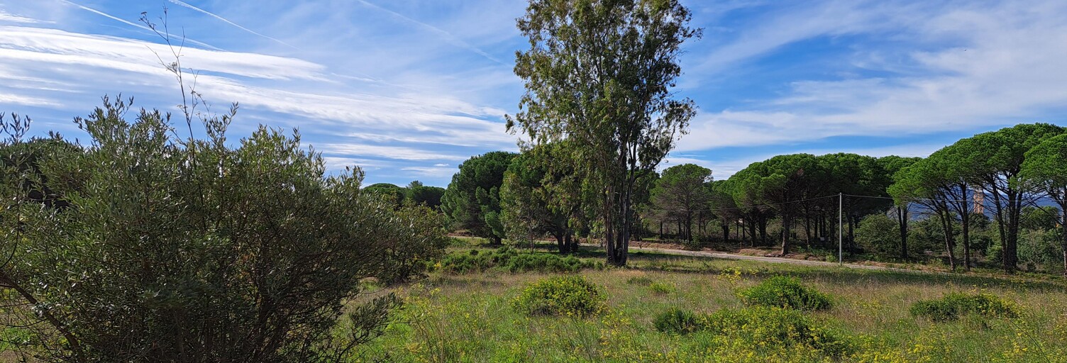 Terrain 656 m² à construire Puget-sur-Argens (83480)