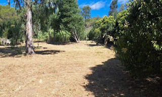 Terrain 1272 m² à construire Fréjus (83600)