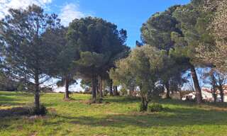 Terrain 1012 m² à construire Le Muy (83490)