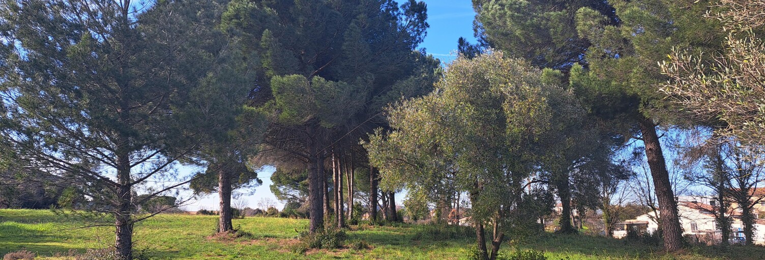 Terrain 1012 m² à construire Le Muy (83490)