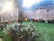 T2 - 40m ² — photo 2