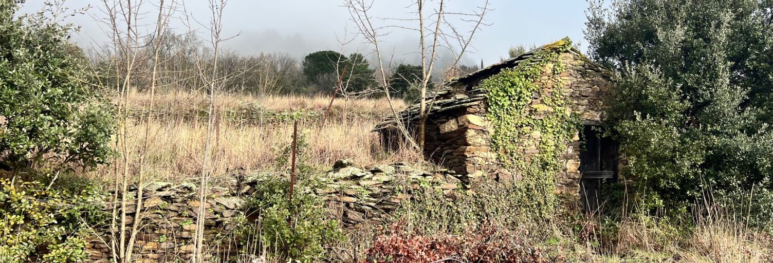 Terrain  10545 m² à vendre à Mons (34390)