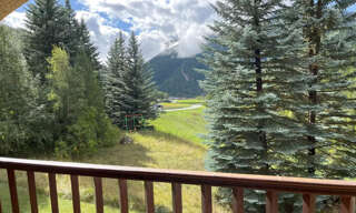 Appartement 1 Pièce 31 m² à vendre à Arvieux (05350)