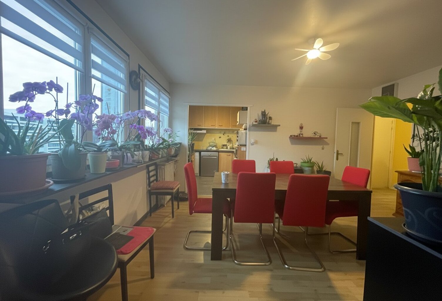 Appartement — photo 1