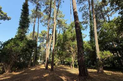 Terrain  1295000 €