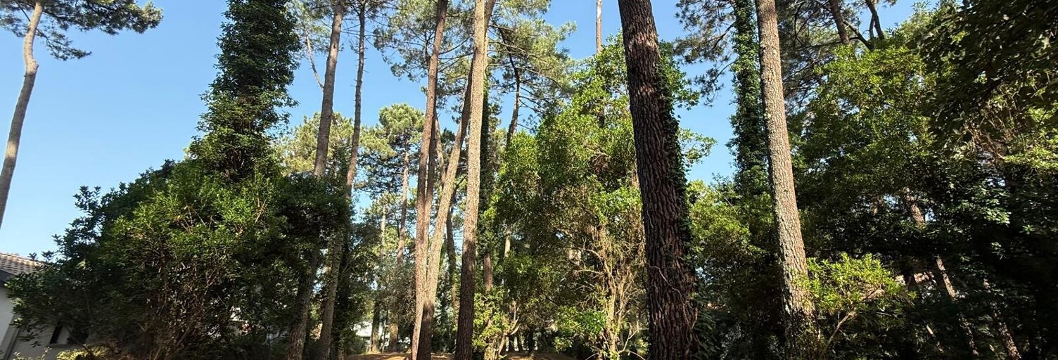 Terrain  1435 m² à vendre à Soorts-Hossegor (40150)