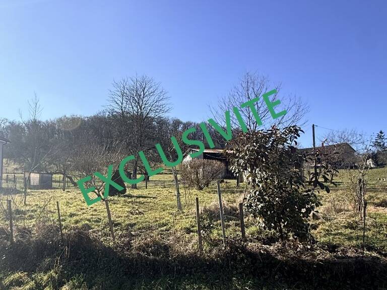 Terrain — photo 1