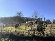 Terrain — photo 2