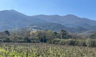 Terrain  5000 m² à vendre à Saint-Génis-des-Fontaines (66740)