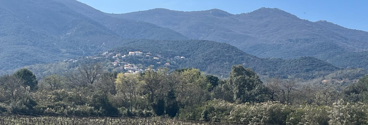 Terrain  5000 m² à vendre à Saint-Génis-des-Fontaines (66740)