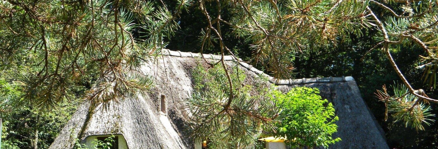 Maison 4 Pièces 105 m² à vendre à Pérols-sur-Vézère (19170)