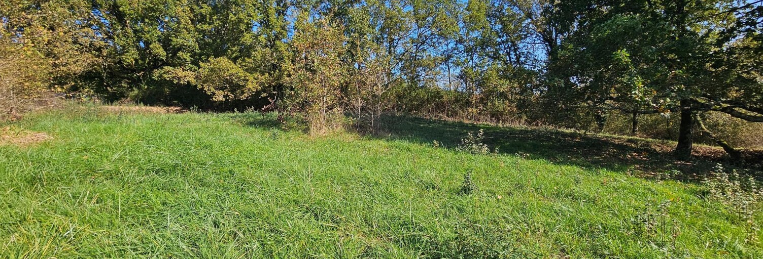 Terrain  2000 m² à vendre à La Salvetat-Belmontet (82230)