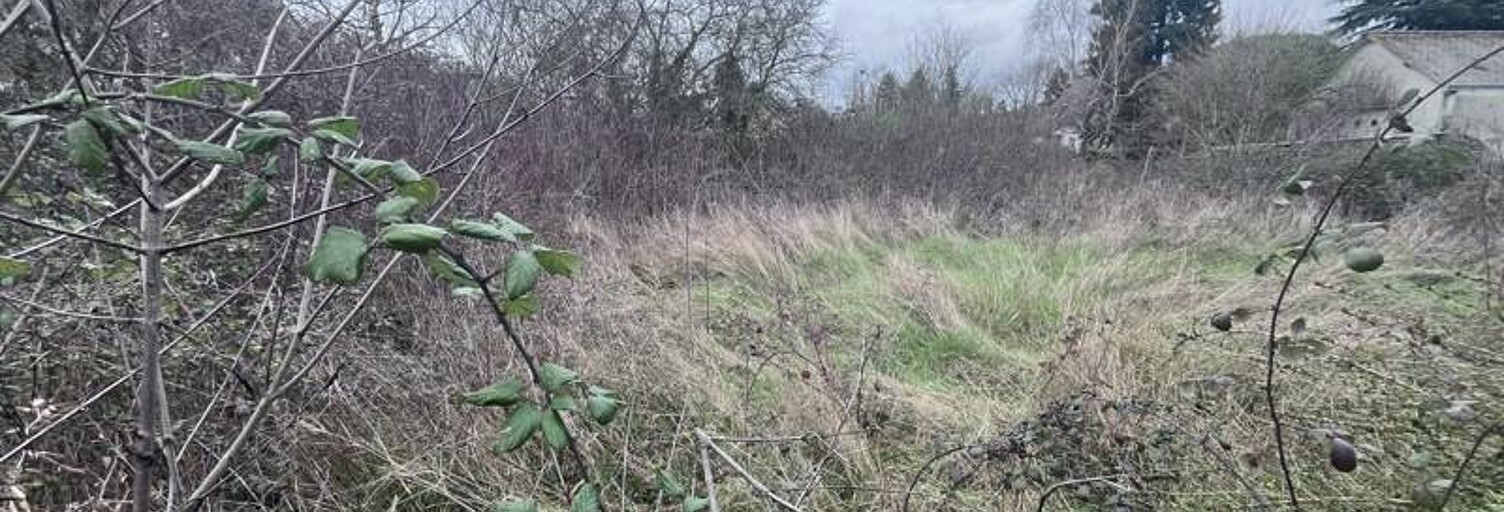 Terrain  566 m² à vendre à Saint-Avertin (37550)