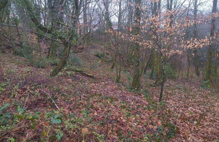 Terrain à bâtir de 0 pièces principales — photo 3