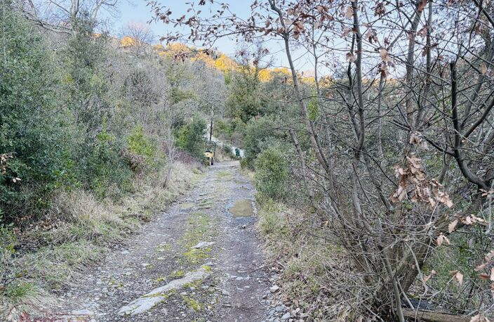Terrain de loisir — photo 4