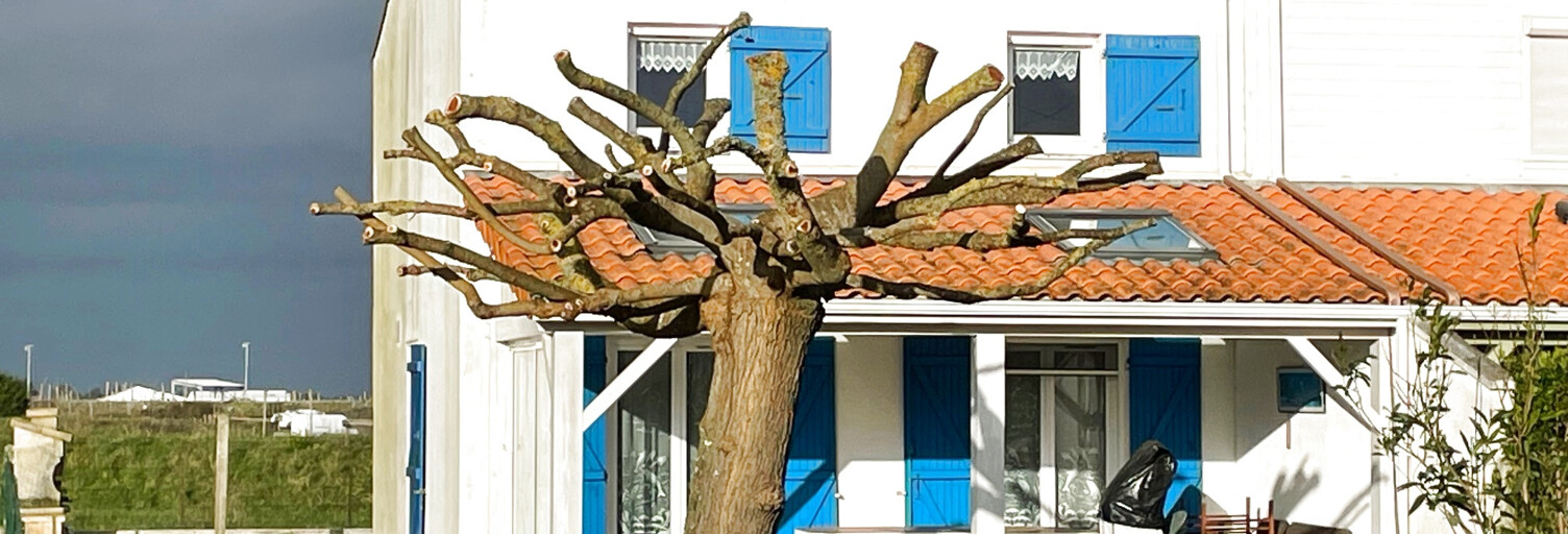 Maison 5 Pièces 74 m² à vendre à La Barre-de-Monts (85550)