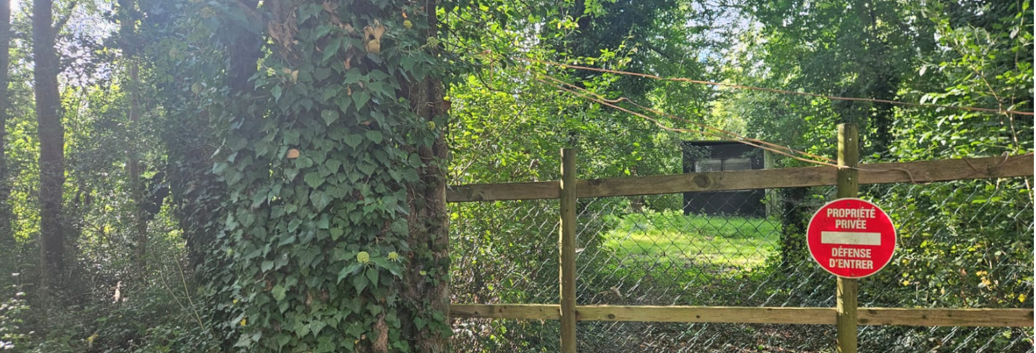 Terrain  1701 m² à vendre à Laroche-Saint-Cydroine (89400)