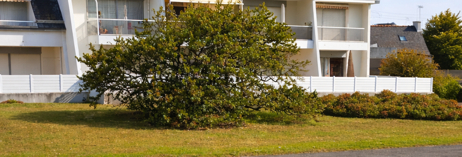 Appartement 1 Pièce 13 m² à vendre à Quiberon (56170)