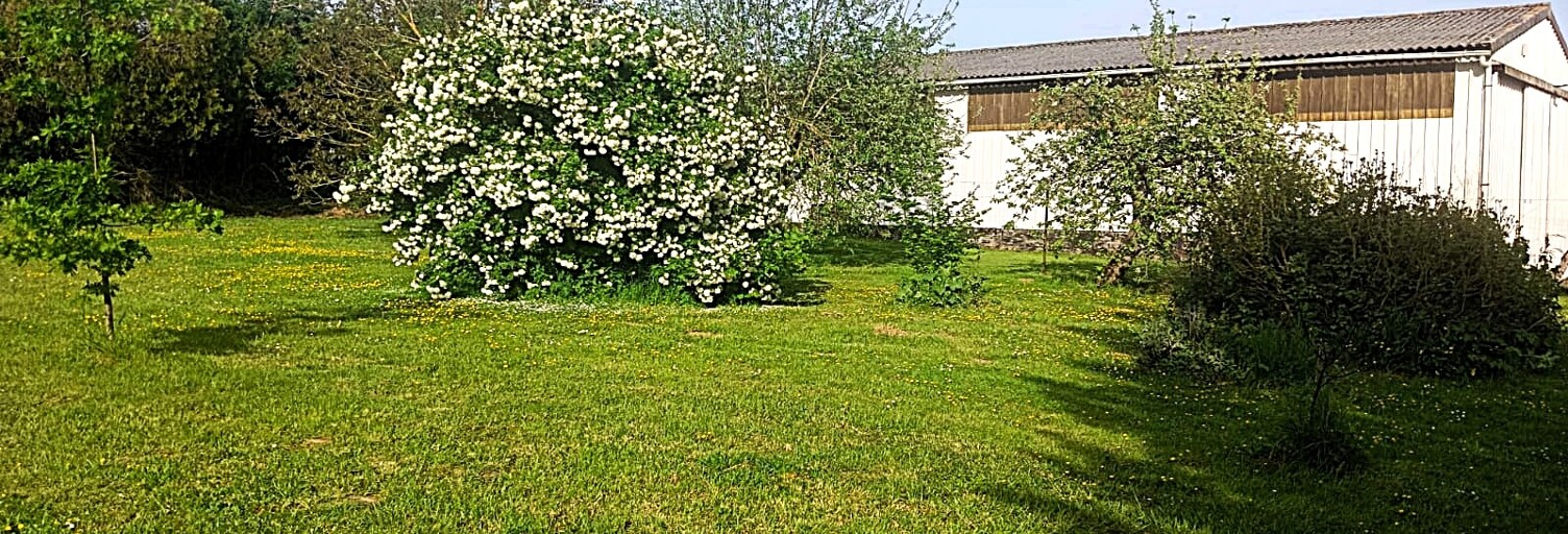 Photo N° 2