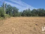 Vente Terrain à bâtir 2 972 m&sup2; — photo 2