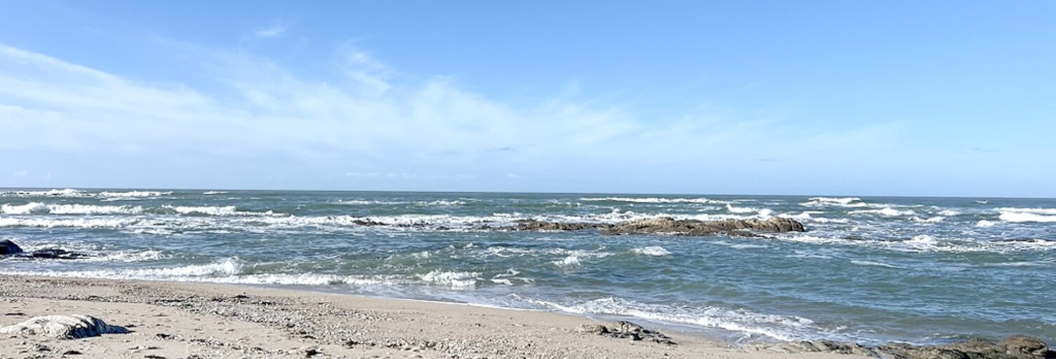 Photo N° 2